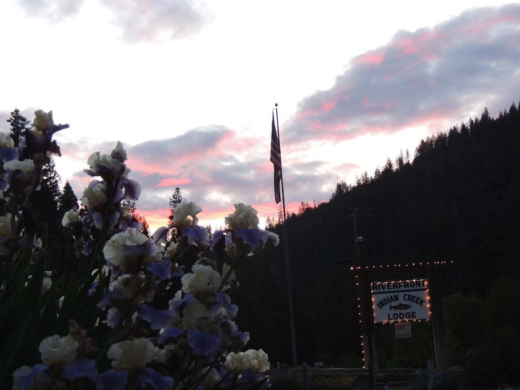 Indian Creek Lodge Douglas City Kültér fotó